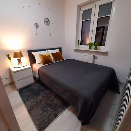 Apartament 60 Płock Kültér fotó